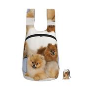 EdWal Cute Pomeranian Print Foldable Backpack Lightweight Hiking Bag Soft Travel Backpack Rucksack For Work And Gym