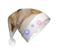 EdWal Cute Pomeranian Print Led Christmas Beanie Light Up Christmas Hats, Knit Hats With Led Lights, Unisex Winter Santa Hat