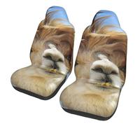 EdWal Funny Alpaca Llama Print Front Seat Covers, Easy To Install Two Car Seat Protector Cover Set Accessories Auto Trucks Suv