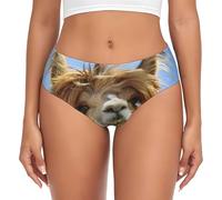 EdWal Funny Alpaca Llama Print Womens High-Waisted Briefs Panties, Moisture-Wicking Underwear, Bikini Brief Underwear Black