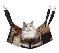 EdWal Raccoon in The Fall Tree Hole print Soft Sleeping Hammock Cat Hammock for Cage Hanging,Pet Hammock Bed Adjustable for Small Animals