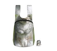 Edwal Red Squirrel Print Foldable Backpack Lightweight Hiking Bag Soft Travel Backpack Rucksack For Work And Gym