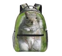 EdWal Red Squirrel Print Hiking Backpack Laptop Backpack For Men Women Waterproof Rucksack Easy To Clean Travel Bag