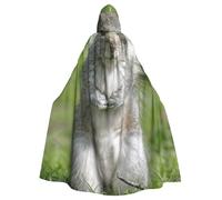EdWal Red Squirrel Print Unisex Adults Hooded Cloak Cape Uniform, Hooded Robe, For Halloween Cosplay Costumes