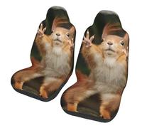 EdWal Squirrel Funny Animal Print Front Seat Covers, Easy To Install Two Car Seat Protector Cover Set Accessories Auto Trucks Suv