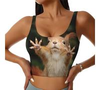 EdWal Squirrel Funny Animal Print Women's Sports Bra, Active Sculpt, Women's Racerback Sports Bra for Yoga Gym,Racerback Black
