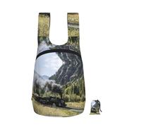 EdWal Steam Locomotive Train Print Foldable Backpack Lightweight Hiking Bag Soft Travel Backpack Rucksack For Work And Gym