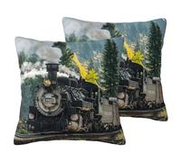 EdWal Steam Train Print Couch Throw Pillow Covers, Set Of 2, Decorative Pillow Covers, Cushion Case, For Sofa Bed