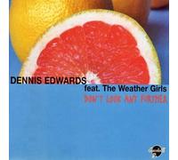 Edwards, Dennis - Don't Look Any Further (Remixe