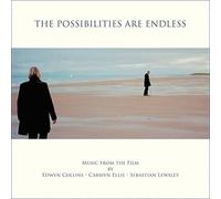 Edwyn Collins, Carwyn Ellis & Sebastian Lewsley - The Possibilities Are Endless OST