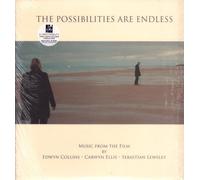 Edwyn Collins, Carwyn Ellis & Sebastian Lewsley - The Possibilities Are Endless OST [VINYL]