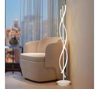 EDXTNKQC Spiral Floor Ring Curve Floor Spotlight, Dimmable Modern Creative Corner Lights for Living Room, Reading Floor Standing Light for Bedroom Office, with Remote Control(A)