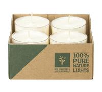 EDZARD Pack of 8 Maxi Tea Lights, White, Rapeseed Wax, Transparent Plastic Case, Burning Time Approx. 10 Hours