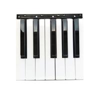 eejinwen For Korg PA500 PA600 PA700 PA300 Microx R3 X50 White black Keys Keyboard Part(12 black white keys)