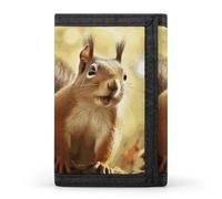 Eekstdbn Funny Squirrel Trifold Wallet, Card Cases And Money Oganizer Thin Stylish Mini Coin Bag with Zipper Coin Pocket Credit for Men And Women
