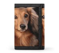 Eekstdbn Long Haired Dachshund Trifold Wallet, Card Cases And Money Oganizer Thin Stylish Mini Coin Bag with Zipper Coin Pocket Credit for Men And Women