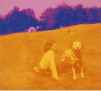 Eels - Blinking Lights and Other Reve