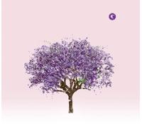 Eels - Tomorrow Morning