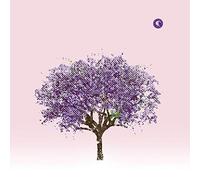 Eels - Tomorrow Morning