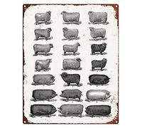Eeypy Aluminum Sign Breeds of Pigs & Sheep Printable, Types of Cattle, Farm Animals Metal Sign, Farmhouse decor, Cottage Decor, Vintage Pigs Print, Barn Wall Art Retro Tin Sign Kitchen
