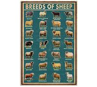 Eeypy Personalized Metal Sign Large Breeds of Sheep Knowledge Tin Sign, Wall Art Retro Tin Sign Metal Poster for Home Bar Cafe Garage Custom Metal Sign Outdoor Reflective