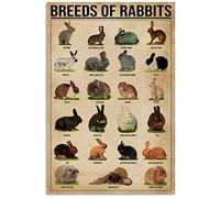 Eeypy Personalized Metal Signs for Garage Breeds of Rabbits Knowledge Tin Sign, Wall Art Retro Tin Sign Metal Poster for Home Bar Cafe Garage Tin Sign Vintage