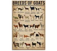 Eeypy Personalized Metal Signs for Kitchen Breeds of Goats Knowledge Tin Sign, Wall Art Retro Tin Sign Metal Poster for Home Bar Cafe Garage Tin Sign Coffee