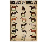 Eeypy Personalized Metal Signs for Wall Breeds of Horses Knowledge Tin Sign, Wall Art Retro Tin Sign Metal Poster for Home Bar Cafe Garage Tin Sign Funny