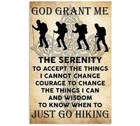 Eeypy Tin Sign Decor God Grant Me The Serenity To Accept The Things I Cannot Change Sign, The Best Gift For Family Or Friends Vintage 12×8 Inch
