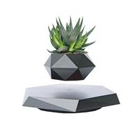 EEYZD Floating Plant Pot,Levitating Plant Pot for Succulents,Creative air Bonsai Crafts,for Floating Decoration for Office Magnetic Floating Display Home Ornaments,Black