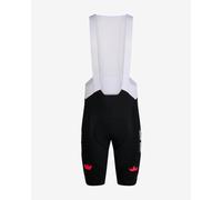 EF-Education First Pro Team 2025 Regular Bib Shorts black - XL
