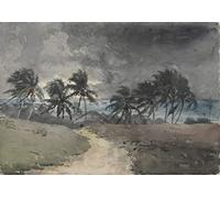 EfeMir Mural Art Print Artwork Wall Art Famous Storm Bahamas by Winslow Homer for Home Decor 60x90cm