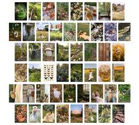 EFenegabos Idyll Wall Collage Kit - 50pcs Mushroom Cottagecore Indie Wall Art Posters, Vintage Village Aesthetic Pictures Photo Picture Prints Wall Dorm Decor for Girl Teens and Women