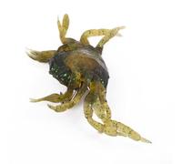 Effective 10cm Crab Lure for Sea Fishing Attract Big Fish with Unique Movement (Green)