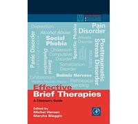 Effective Brief Therapies: A Clinician's Guide (Practical Resources for the Mental Health Professional)