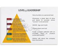 Effective Leadership Framework Poster Office Skills Chart Wall-Art Educational Decor for Business Coaching Team Management Home Study Room(Unframed,08x12inch(20x30cm))