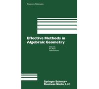 Effective Methods in Algebraic Geometry