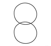 Effective O For ring for Pool Filter Tank Designed for Pentair 270010061S O484 and For SPARITE PLM100 Prevents Water Leakage (2pcs)
