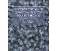 Effective Theory of Quantum Gravity: Soluble Sector