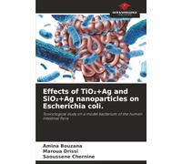 Effects of TiO₂+Ag and SiO₂+Ag nanoparticles on Escherichia coli.: Toxicological study on a model bacterium of the human intestinal flora