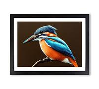 Effervescent Kingfisher Bird Framed Print | A4 Black Framed Wall Art | Ready to Hang | Modern Nature Picture | Living Room Bedroom Lounge Office