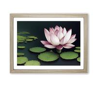 Effervescent Lotus Flower Framed Print | A4 Oak Framed Wall Art | Ready to Hang | Modern Floral Picture | Living Room Bedroom Lounge Office