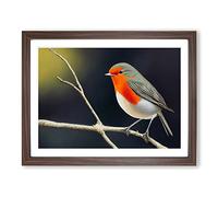 Effervescent Robin Bird Framed Print | A3 Walnut Framed Wall Art | Ready to Hang | Modern Animal Picture | Living Room Bedroom Lounge Office