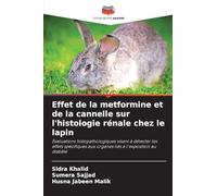 Effet de la metformine et de la cannelle sur l'histologie rénale chez le lapin: Évaluations histopathologiques visant à détecter les effets spécifiques aux organes liés à l'exposition au diabète