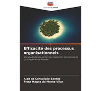 Efficacité des processus organisationnels: Une étude dans la section du matériel et des biens de la Cour fédérale de Paraíba