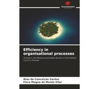 Efficiency in organisational processes: A study in the Material and Assets Section of the Federal Court in Paraíba