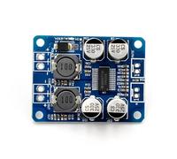 Efficient 60W Digital Power Amplifier Board With Low Distortions For Home And Personality Music Application Mono Amplifier