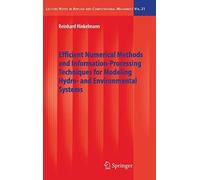 Efficient Numerical Methods and Information-Processing Techniques for Modeling H