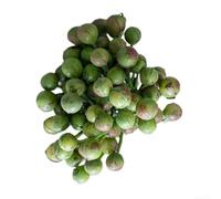 EffiFish Realistic Faux Tulip Style Bouquet Pink Green 19cm Tall(Green) | Lifelike foam berries, soft pink petals, green accents, 19cm height, elegant home accent