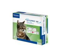 Effipro Duo Spot On Flea Treatment for Cats - 4 Pipettes 4 Pipette